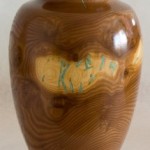 1166_russianOlive russian-olive