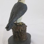 Project15 hawk-bronze