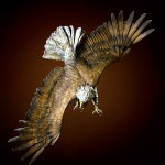 Jerry Mckeller 2010 Eagle on Stand / Bear wings-of-fury