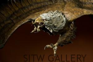 Wings-of-fury