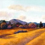 after-noon-shadows