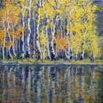 aspen-reflections