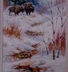 black-hills-bison-print
