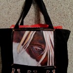sleepy eye canas bag sleepy eye canas bag