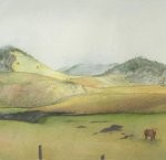 south park pasture