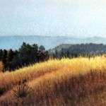 sun-lit-hills