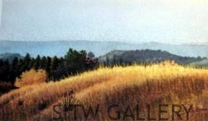 sun-lit-hills