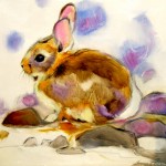 cotton-tail-amy-poor