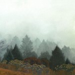 morning-fog-jeannie-breeding