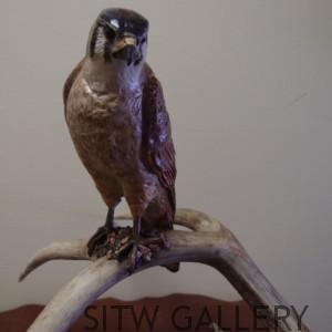 kestrel-sculpture-tammy-bality