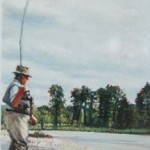 late-season-shirley-cleary