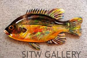 sun-fish-hand-painted-wood-placks-gary-sohrweid