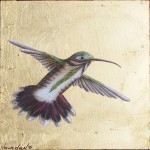 Hummingbird